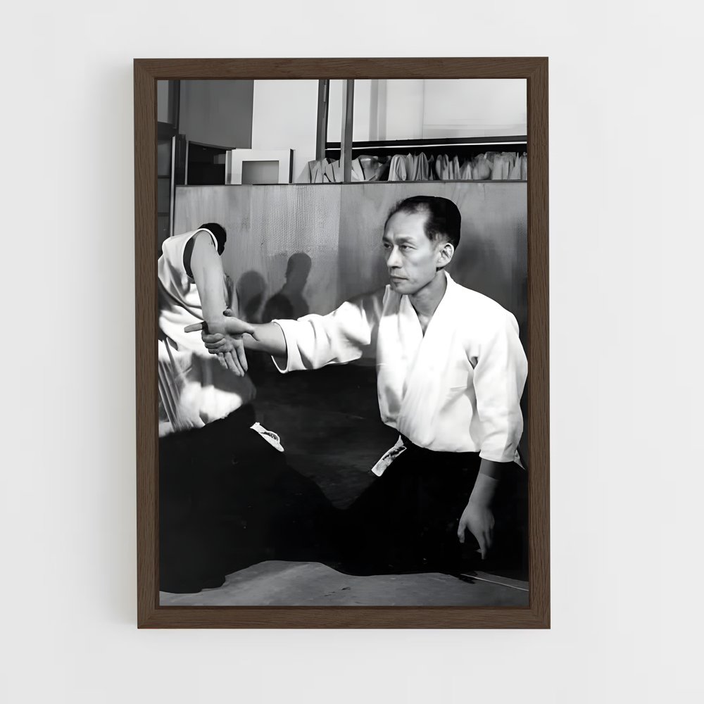 Poster Arts Martiaux: L'Alliance – affiche Aikido (vue 5)